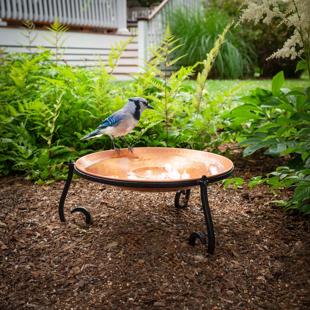 Backyard Bird Bath