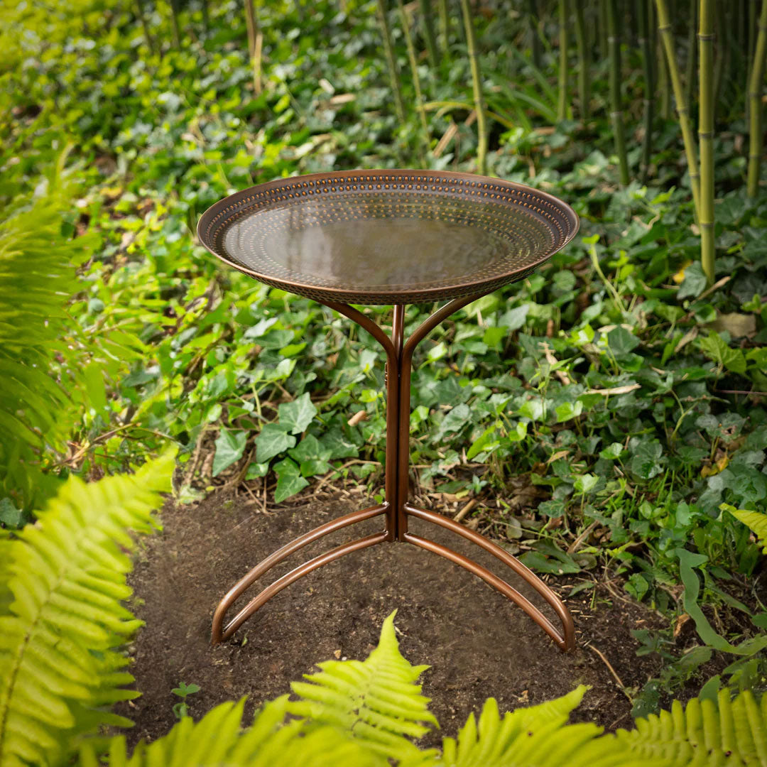 20" Copper Tranquility Bird Bath with Stand