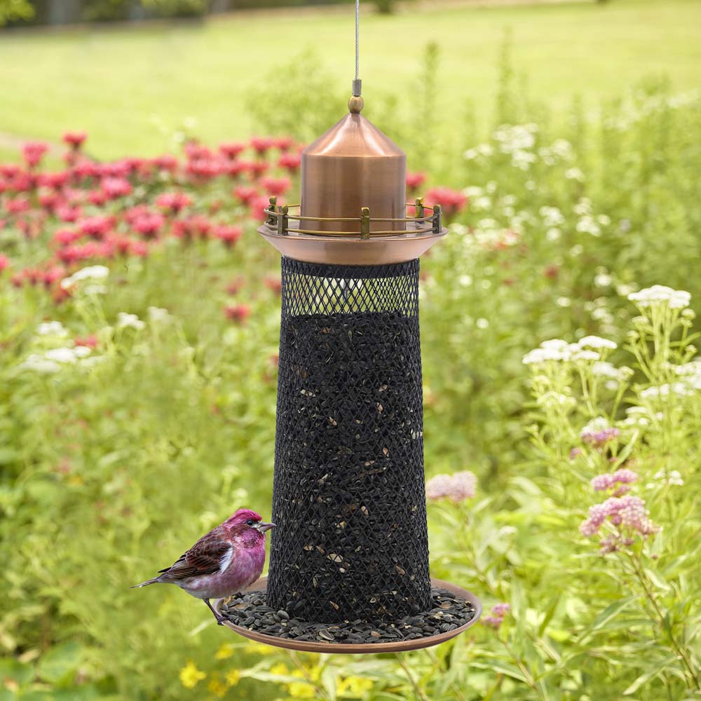 Bird feeder in the open