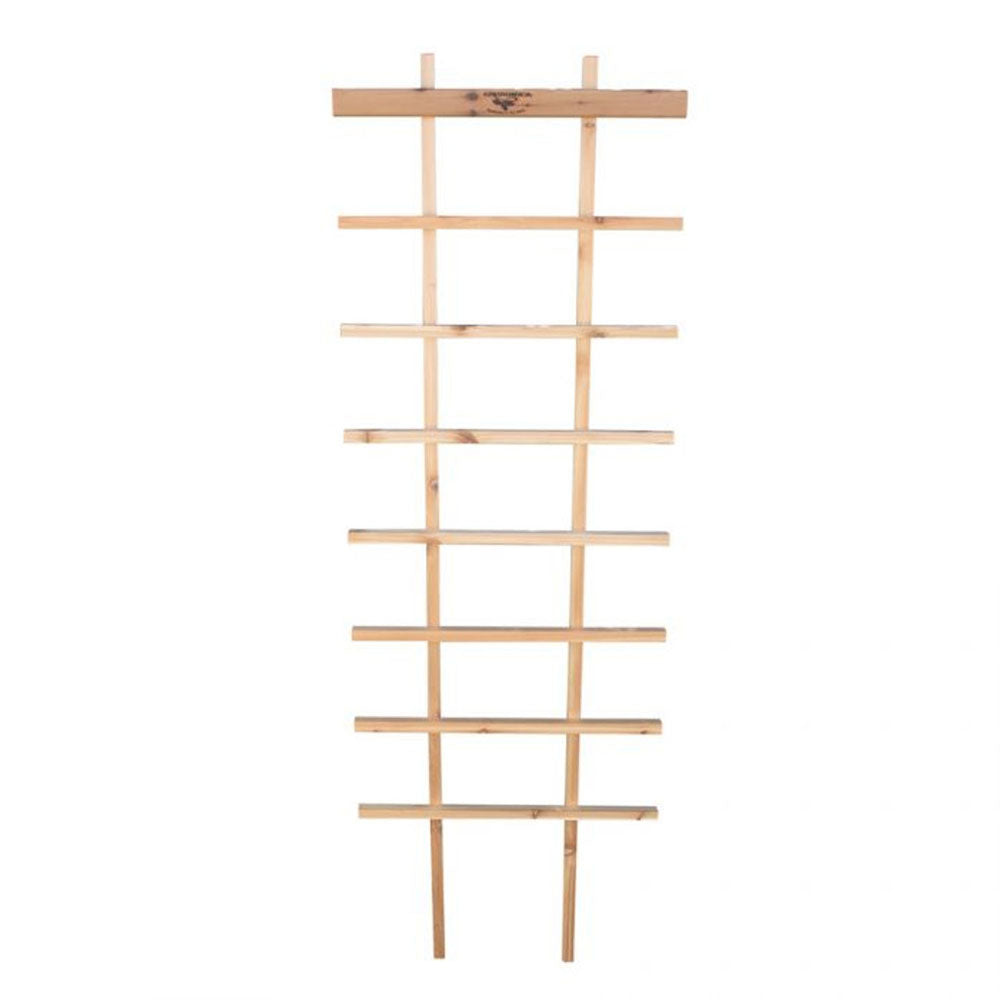 Folding Trellis 24"W x 72"H