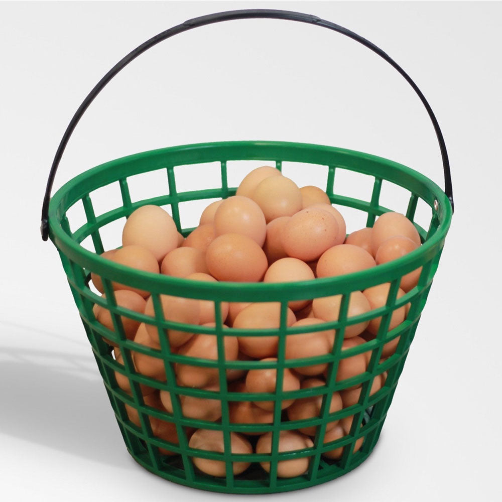 EZ-Gather Egg Basket