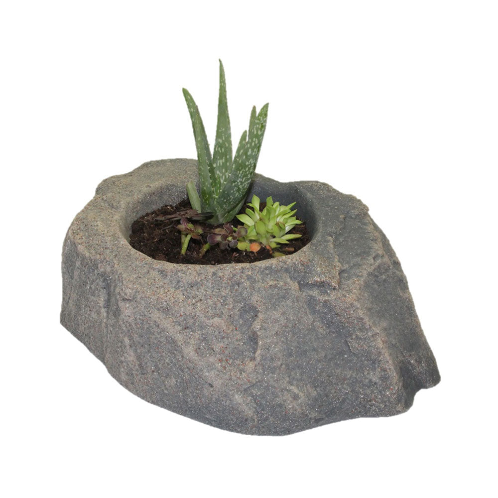 DekoRRa Fieldstone colored Planter Faux Rock with aloha planted in it