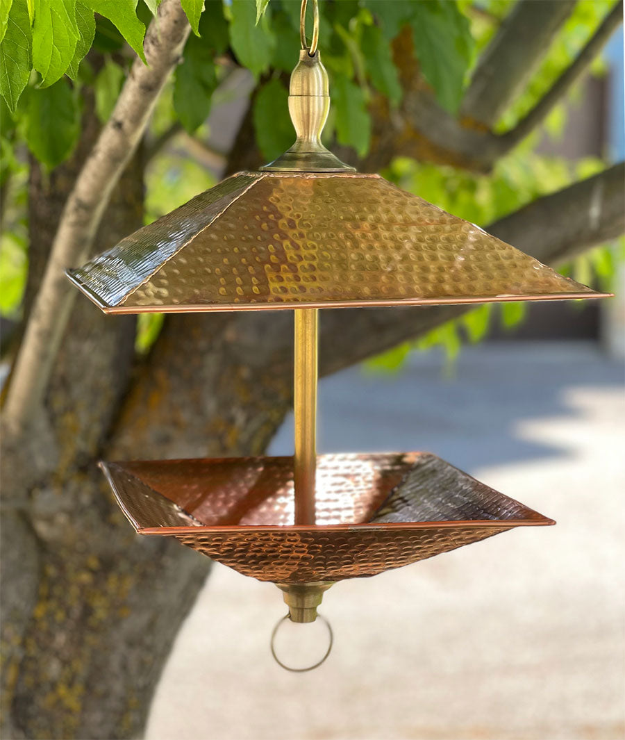 Bird Feeder near trees