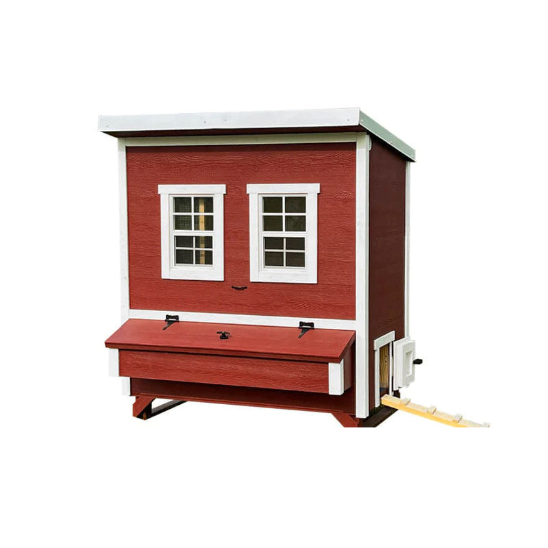 Walk-in-chicken Coop