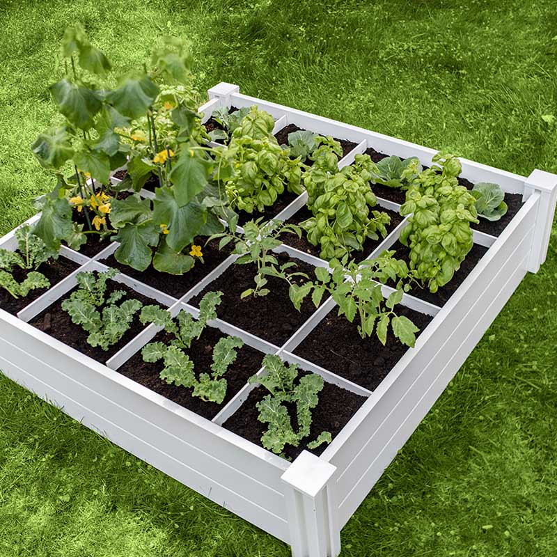 Classic 4x4x11 Garden Bed with GroGrid