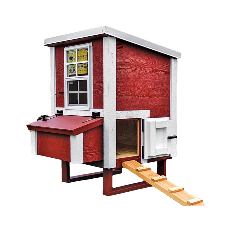 Small OverEZ Chicken Coop 